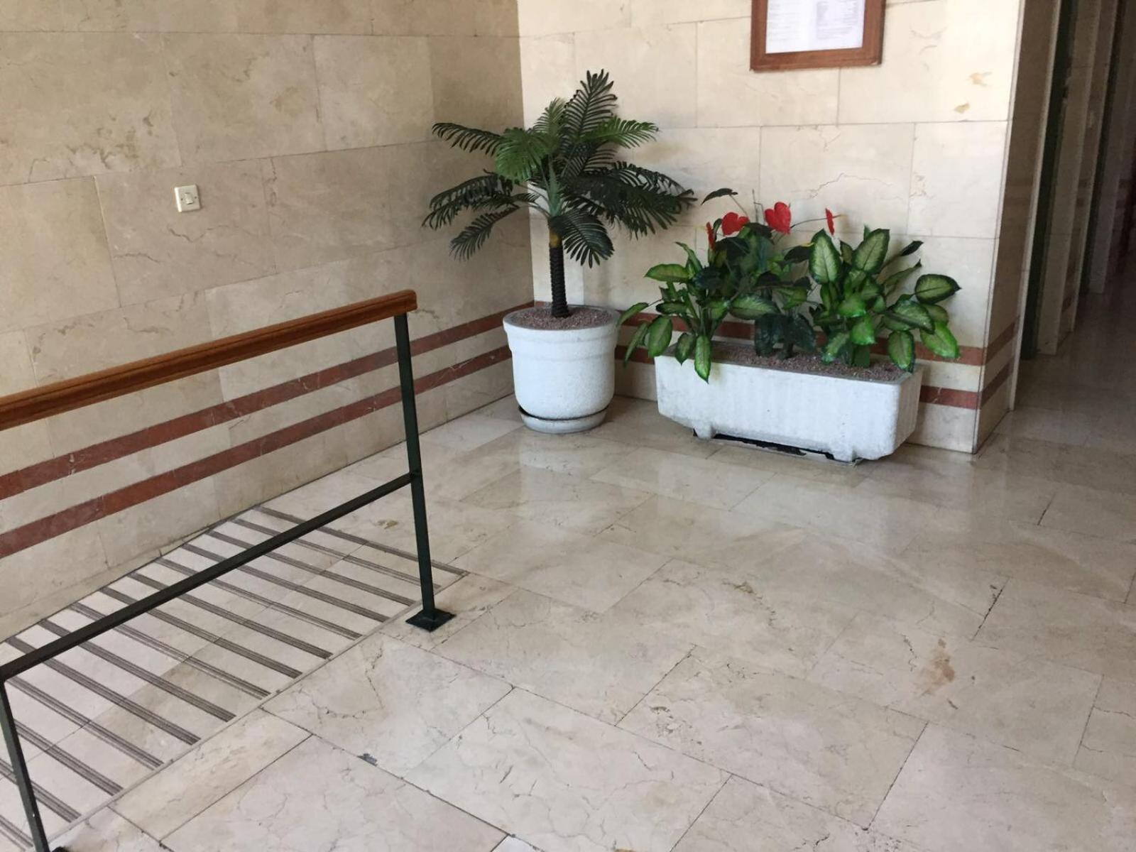 Alicante Postiguet Studios Екстер'єр фото